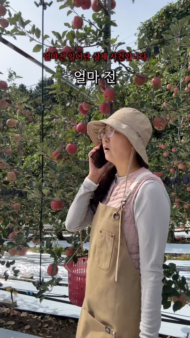 sunplacefarm 게시물 이미지: 지난 여름 사과 출하로 한창 바쁠 때
한 통의 디엠이 도착했어요.

“농부님…...