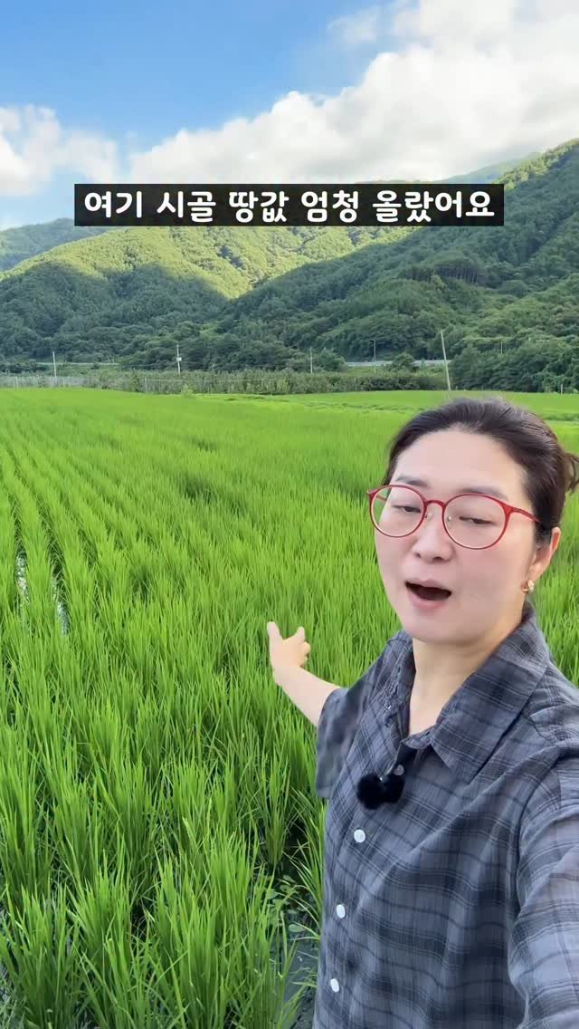 sunplacefarm 게시물 이미지: 저번 릴스의 댓글에
“땅값이 오르면 좋지 뭐가 문제냐 ”
라는 분들이...