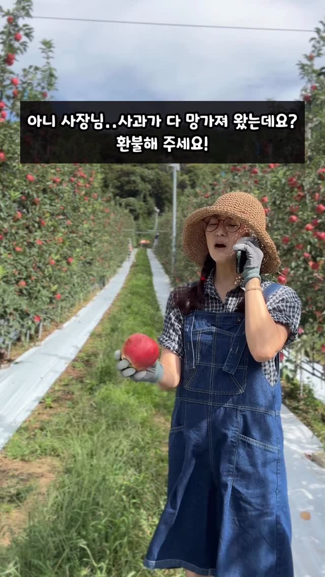 sunplacefarm 게시물 이미지: 택배를 받았는데 사과가 망가져 있으면
많이 속상하시지요?

혹시 선물로 간 사과가...