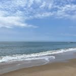 grac_e8939 프로필 사진