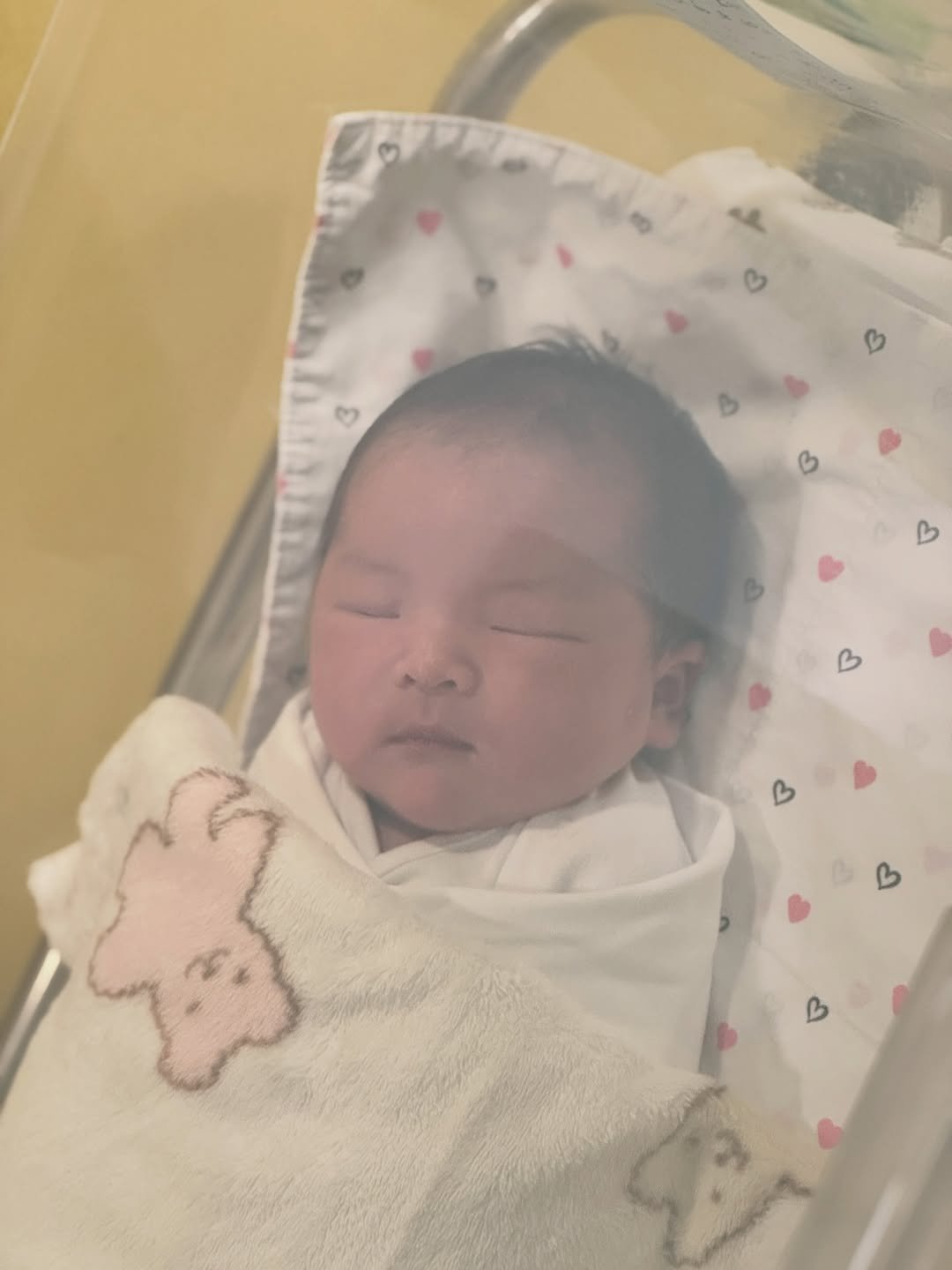 Photo shared by 정대진 on February 05, 2026 tagging @daldal_cong. May be an image of sleeping and blanket.