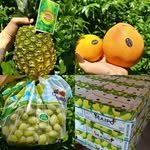 cheongiumarket 프로필 사진