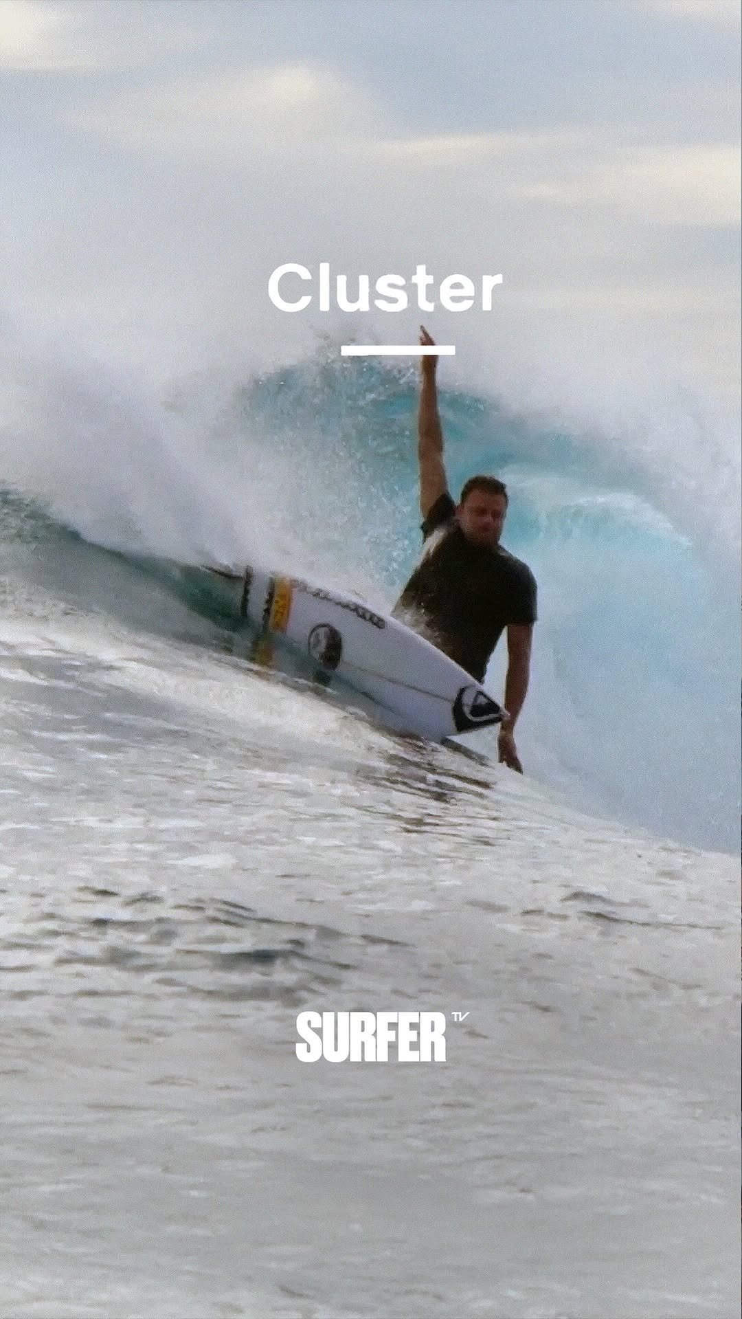 surferfilms 게시물 이미지: @sealtooth has entered the chat 💬🔥...