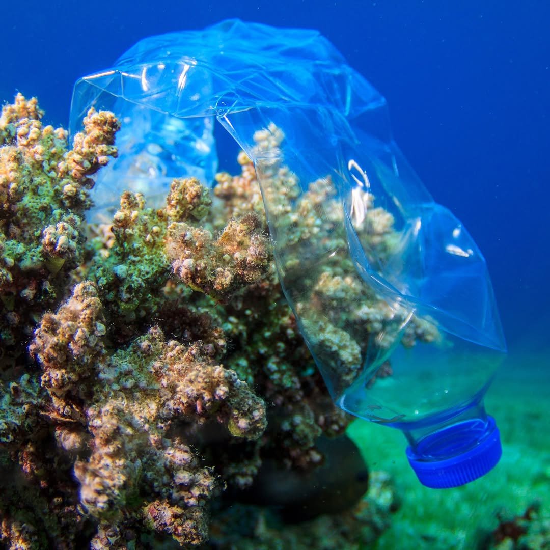100 ocean pollution facts backed by science