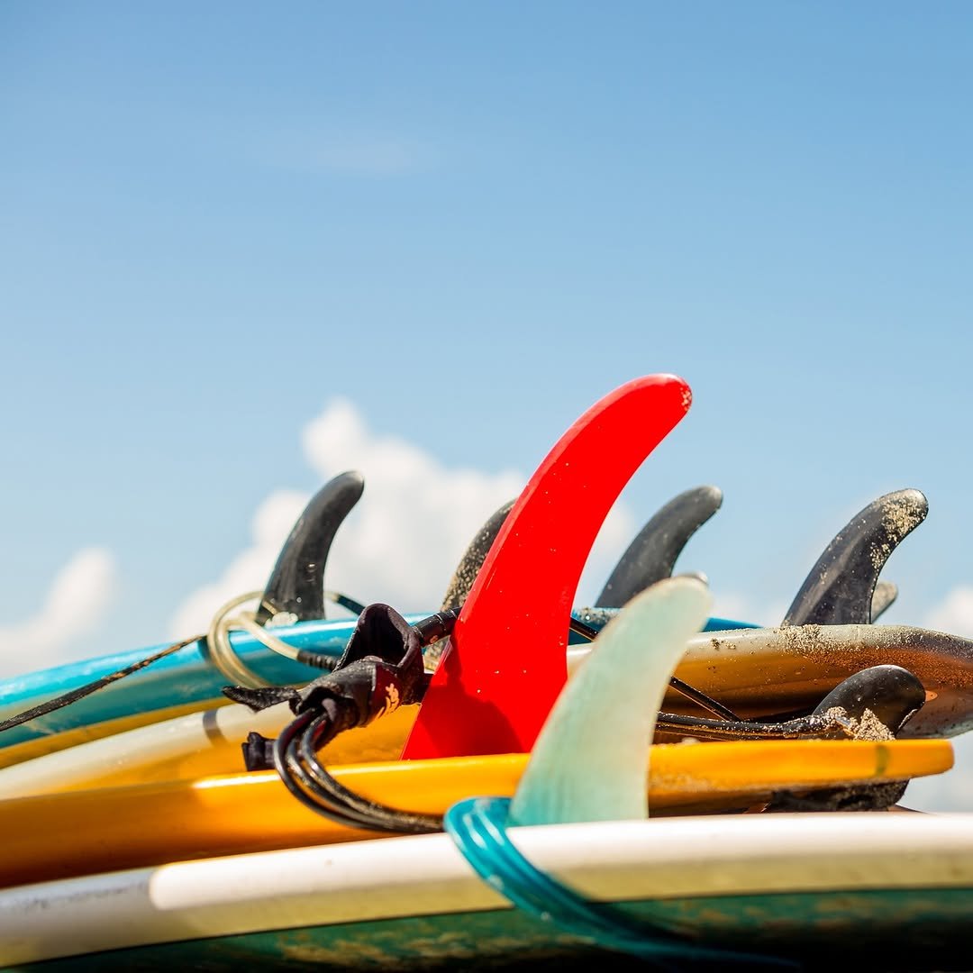 The hydrodynamics of surfboard fins