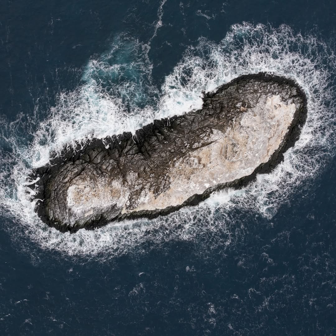 Scientists stumble upon an unmapped island in Antarctica