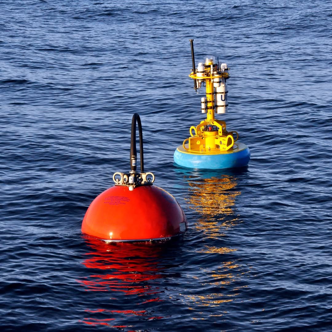 Trump administration dismantles ocean monitoring network used to track climate change