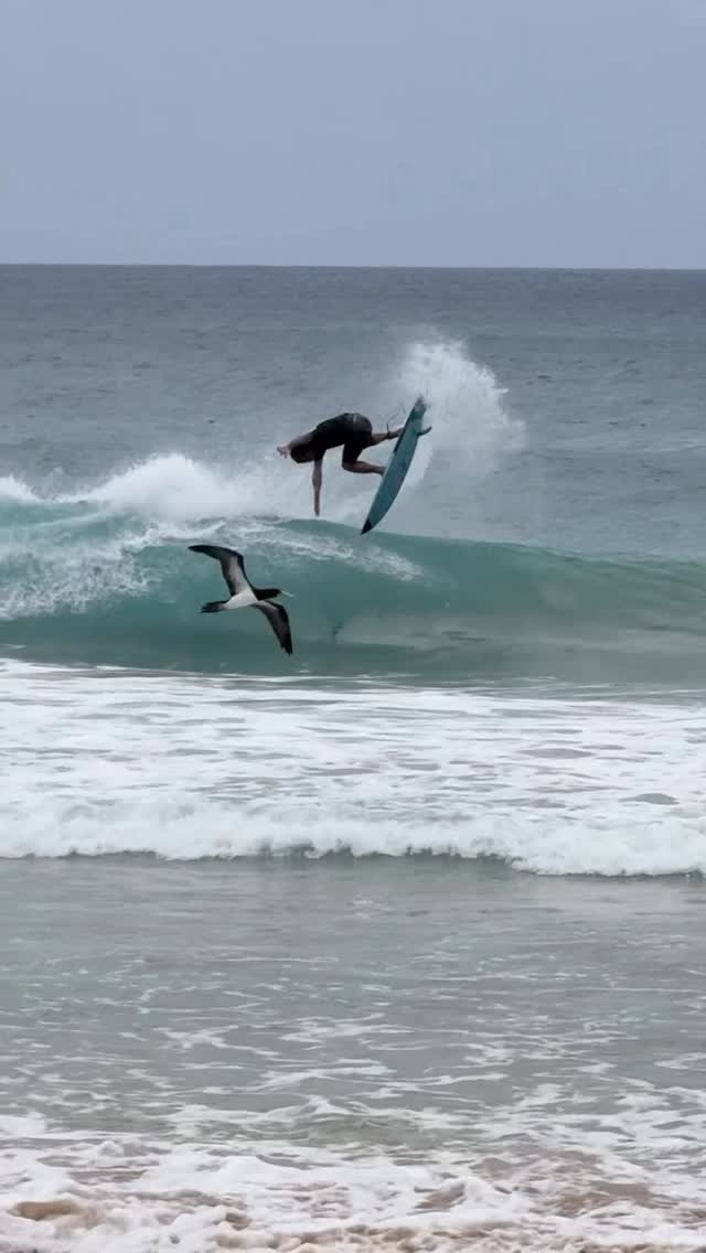 surfgurupro 게시물 이미지: Tá passando o carnaval focado no surf? Então...
