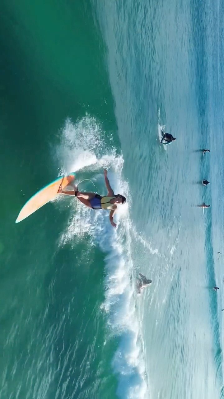 surfnostress 게시물 이미지: 🎥 @surfnostress #solnsalt #longboarding