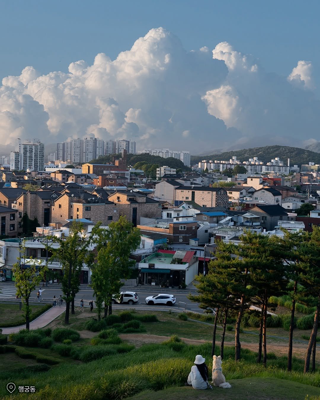 suwon_city 게시물 이미지: ☁️뭉게구름이 더해져 더욱 청량했던 #수원

초록빛 성곽 위로 떠오른 새하얀...