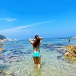 swim_yang 프로필 사진