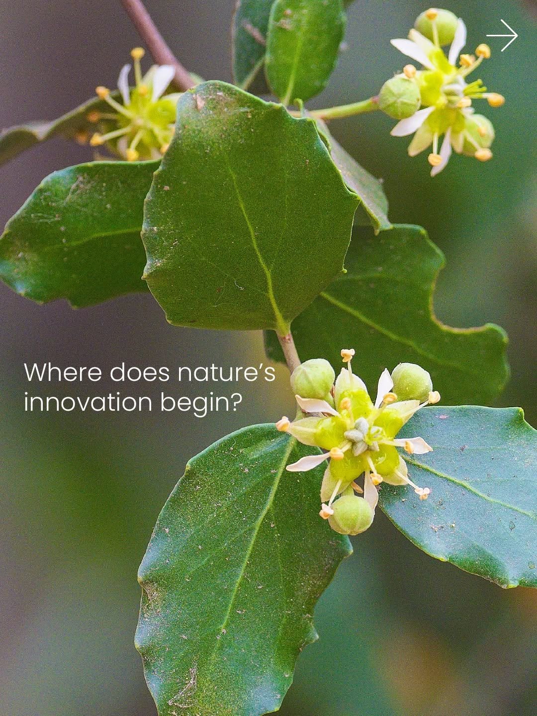 syngenta 게시물 이미지: Nature has been solving plant health...