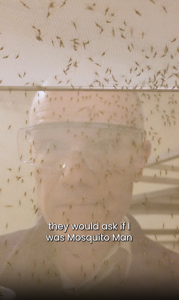 syngenta 게시물 이미지: It's a bird... It's a plane... It's Mosquito...
