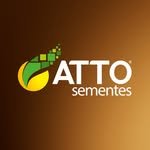 attosementes 프로필 사진