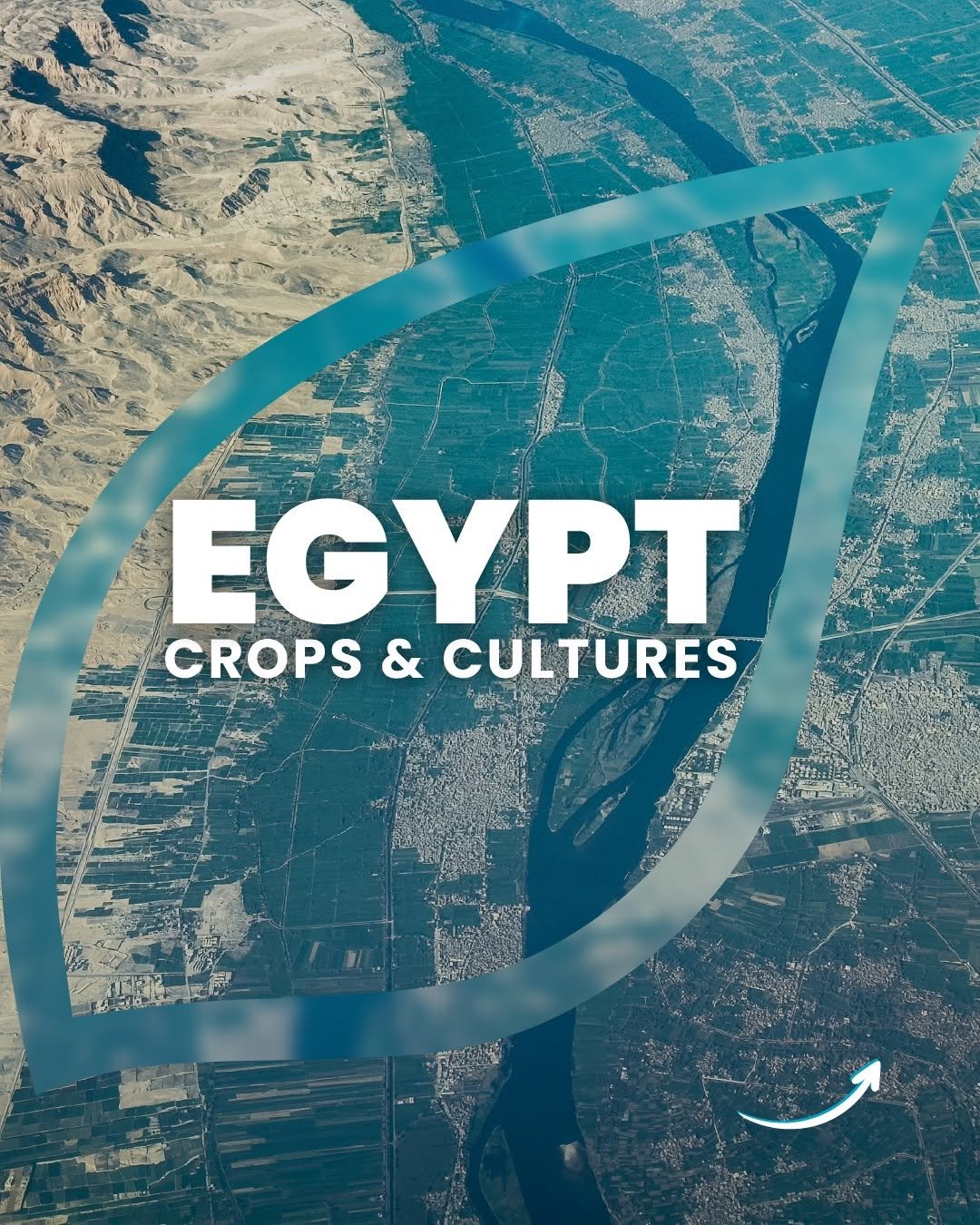 syngenta 게시물 이미지: Pyramids aside, what comes to mind when you...