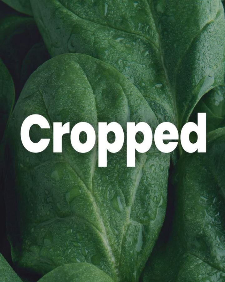 syngenta 게시물 이미지: What’s small, green, and packs a punch with...
