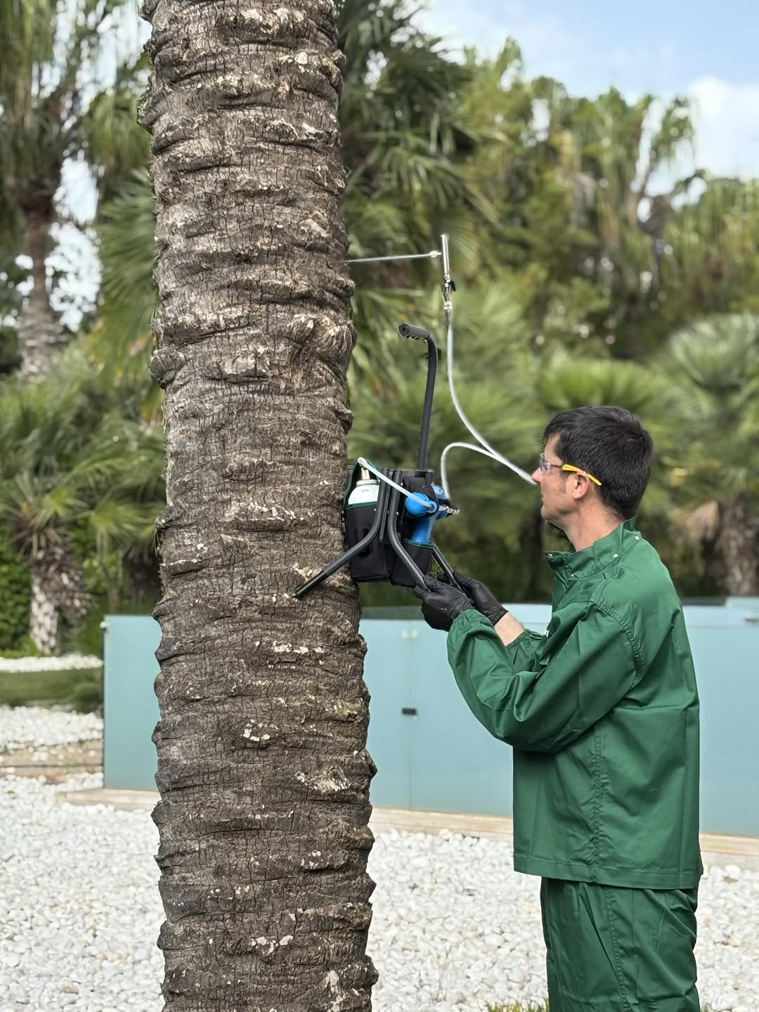 syngenta 게시물 이미지: Just what the tree doctor ordered! 🩺 🌴

From...