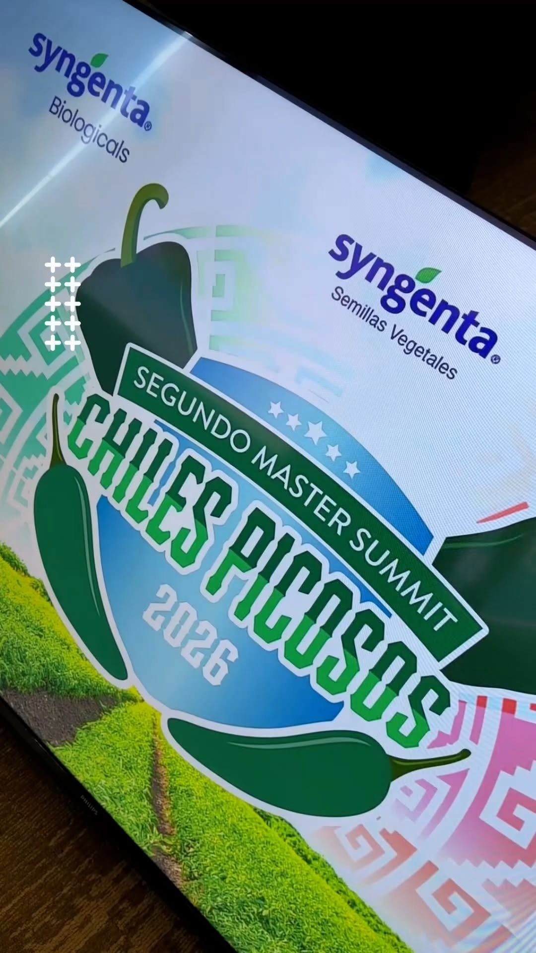 syngentasemillasvegetalesmx 게시물 이미지: Así vivimos el segundo Master Summit de Chiles...