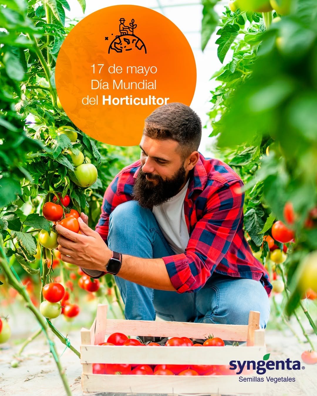 syngentasemillasvegetalesmx 게시물 이미지: 🥬 Hoy reconocemos a quienes hacen crecer el...