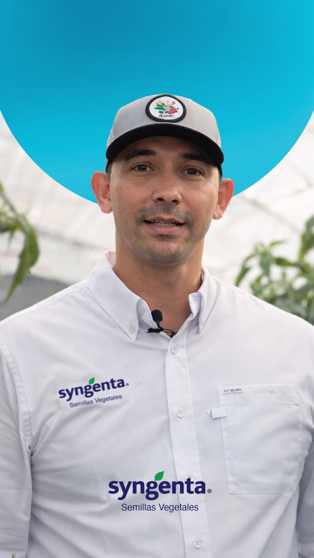 syngentasemillasvegetalesmx 게시물 이미지: Chile Silex destaca por su precocidad y...