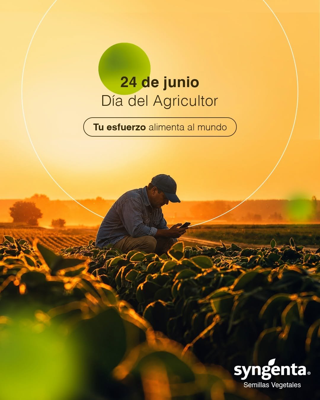 syngentasemillasvegetalesmx 게시물 이미지: Cada cosecha lleva tu esfuerzo, tu...
