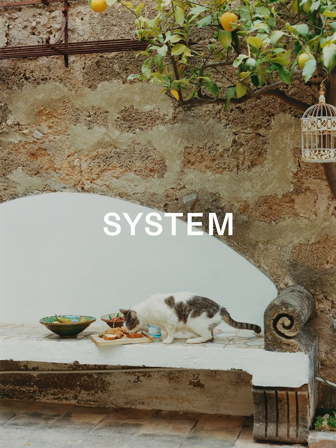 systemofficial 게시물 이미지: [#SYSTEMHOMME]

‘Between Moments’
SYSTEM HOMME...