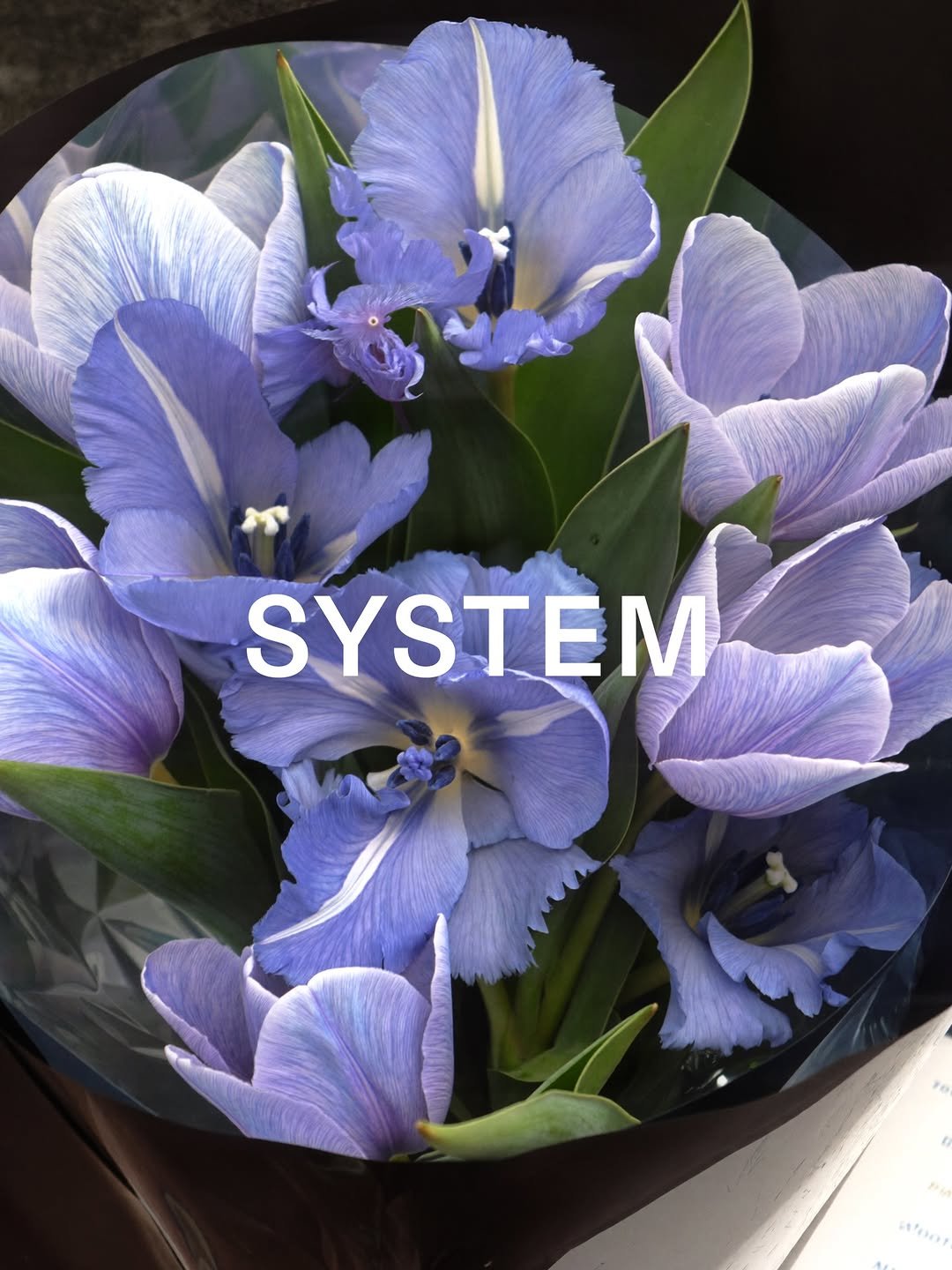 systemofficial 게시물 이미지: [#SYSTEMHOMME]
SYSTEM HOMME SS26 Capsule:...