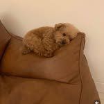 offmmin 프로필 사진