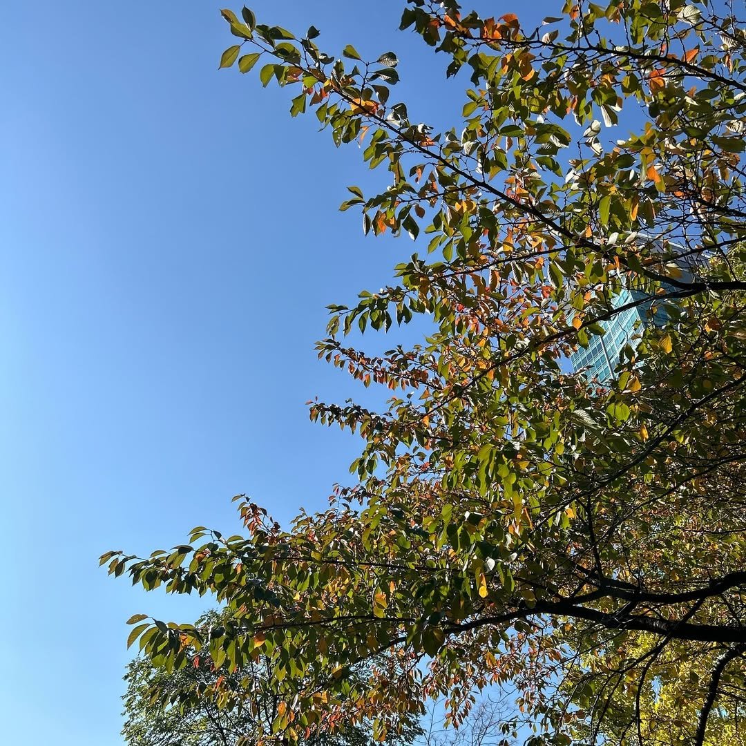 Photo by 생존경제 | 경제&투자 매거진 on November 06, 2024.