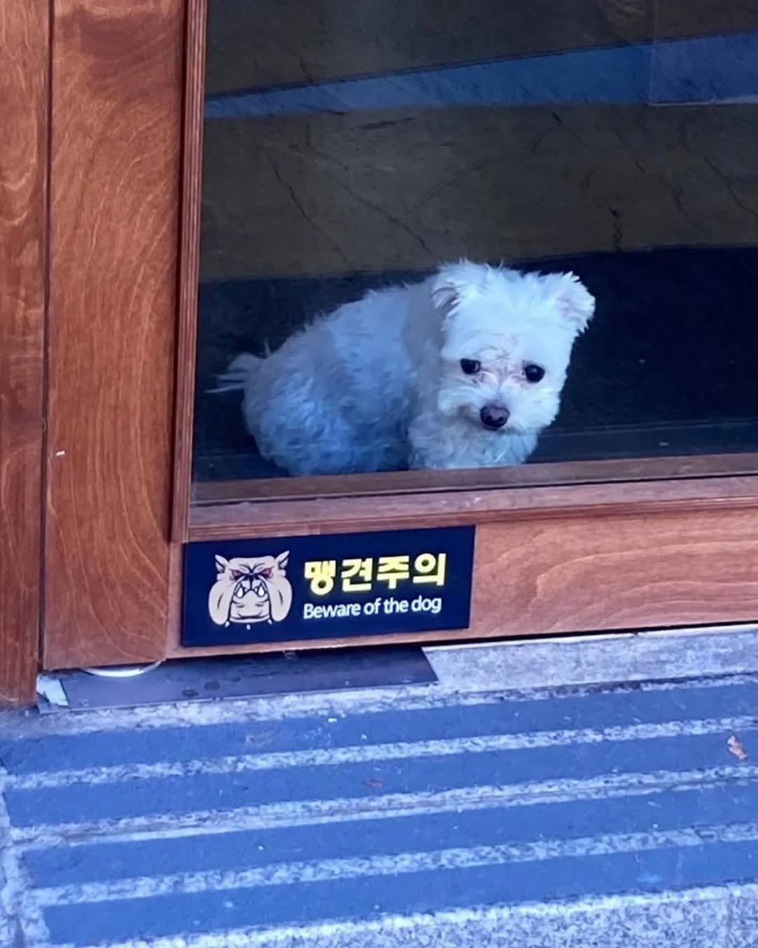 Photo by 생존경제 | 경제&투자 매거진 on June 07, 2025.