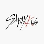 officials.straykids 프로필 사진