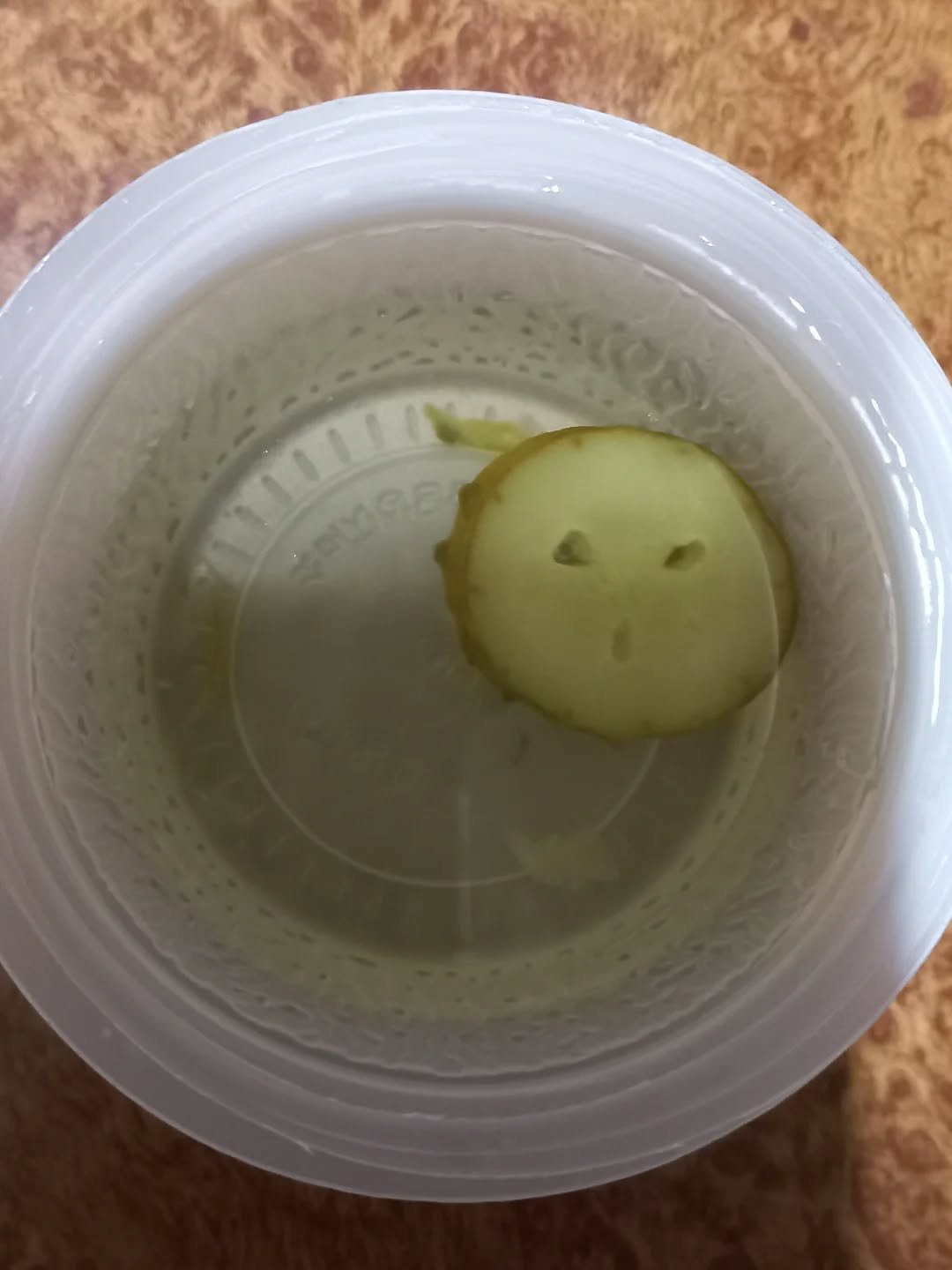 Photo by 혁이 on January 13, 2026. May be an image of cucumber and text.