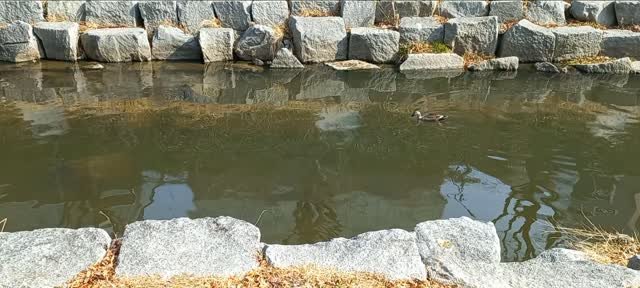 ta.eh_yu.ng0_613_ 게시물 이미지: 