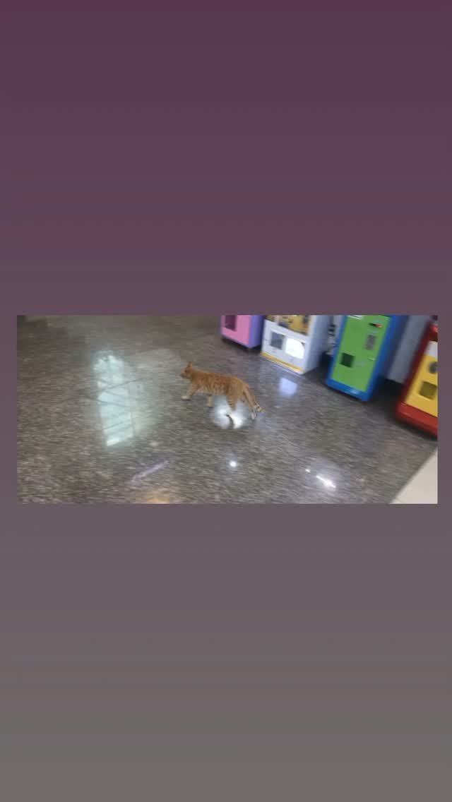 ta.eh_yu.ng0_613_ 게시물 이미지: 