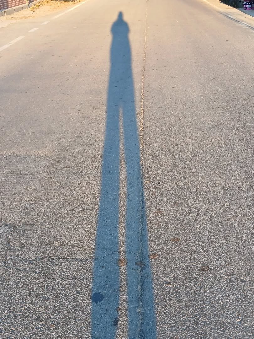 Photo by 찬혁 on February 17, 2026. May be an image of standing, road and text.