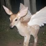 jennonpark 프로필 사진