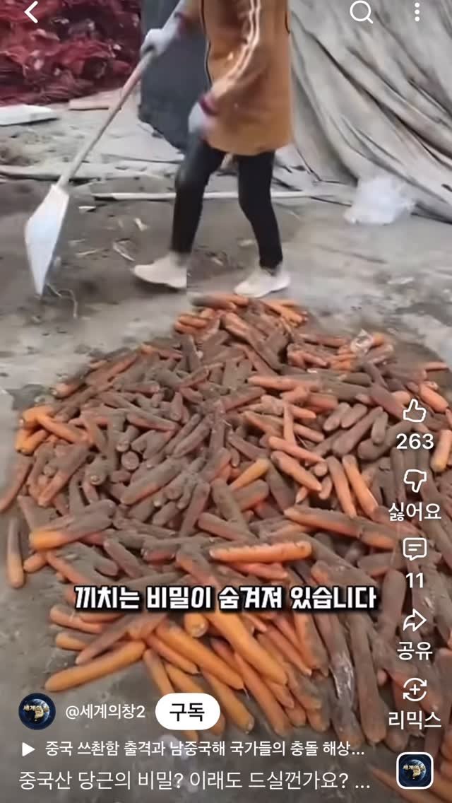 taebee333 게시물 이미지: ❗️중국산 당근 독극물

🥕 식당에 나오는 중국산 세척당근
❗️ 먹으면 발암,...