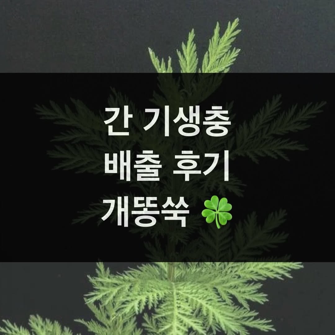 taebee333 게시물 이미지: 🍀 기생충 배출 후기

‘개똥쑥과 에센셜오일을 먹고 흡충이 후두둑 나왔어요’

👉...