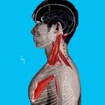 body1st_gdy 프로필 사진