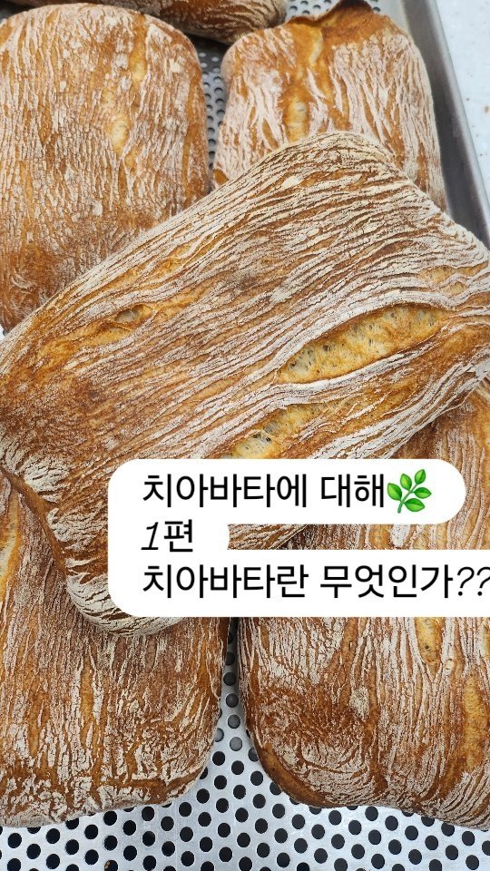 taehyun_464 게시물 이미지: ciabatta🌿
빵의 납작한 타원형 모양 때문에 이 이름이 붙었습니다.
이탈리아어...