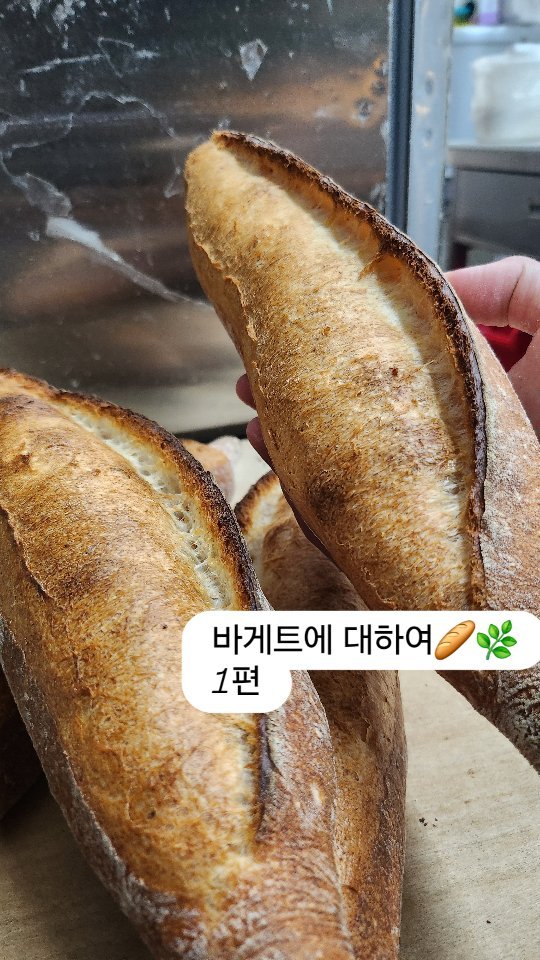 taehyun_464 게시물 이미지: Baguette 🥖
프랑스를 대표하는 빵, 바게트🥖 🇫🇷 
바게트에 대해 먼저...