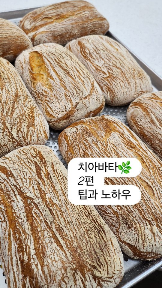 taehyun_464 게시물 이미지: 개인적인 치아바타에 대한 팁과 노하우!🌿

1.치아바타를 만들 때 밀가루는 단백질...