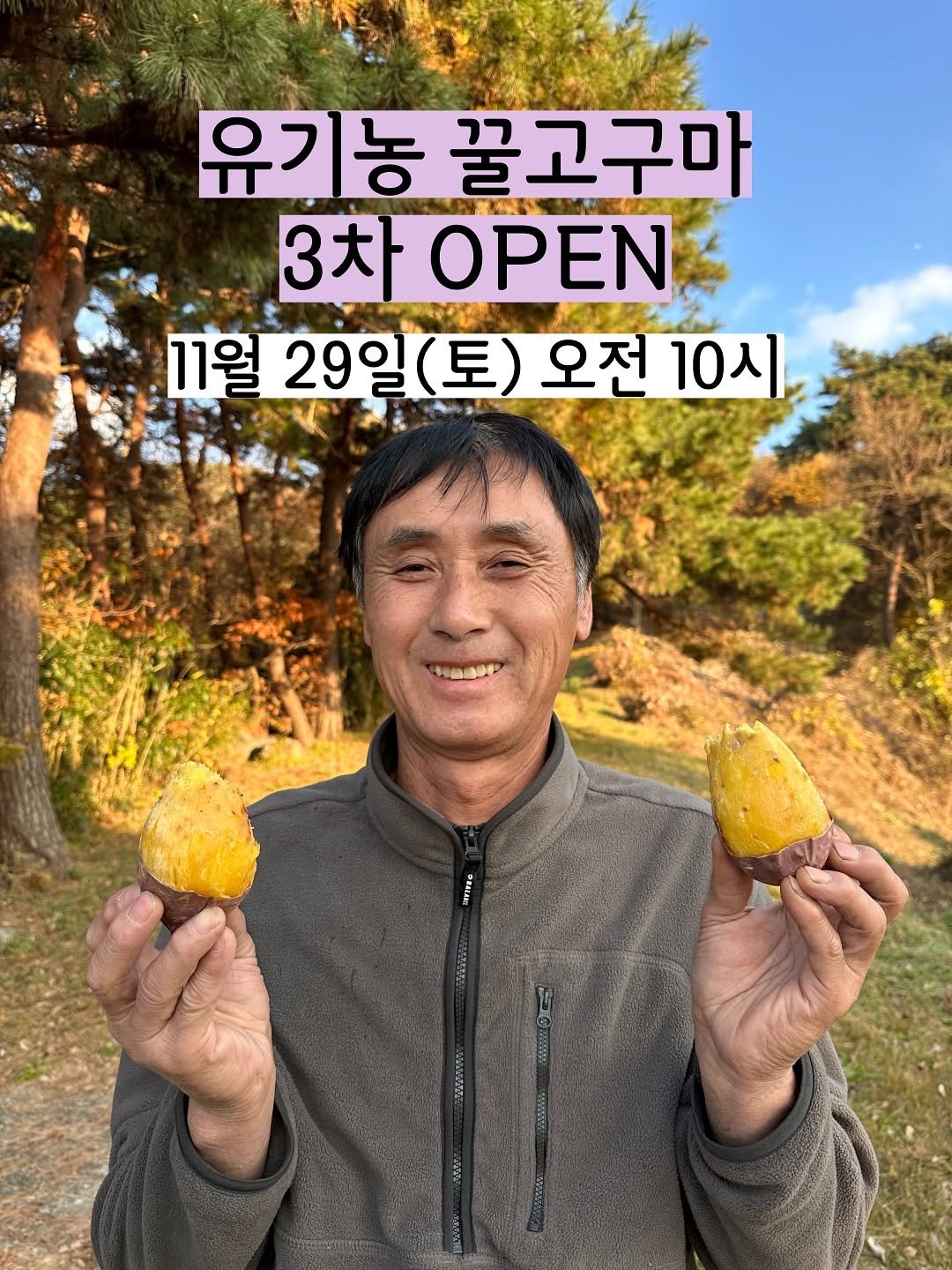 Photo by 태이네외갓집의 유기농꿀고구마•유기농채소 on November 27, 2025. May be an image of mango, outdoors and text that says '유기농 꿀고구마 3차 OPEN 11월 29일 29일(토) (토) 오전 10시 LIPINNG IINSG'.