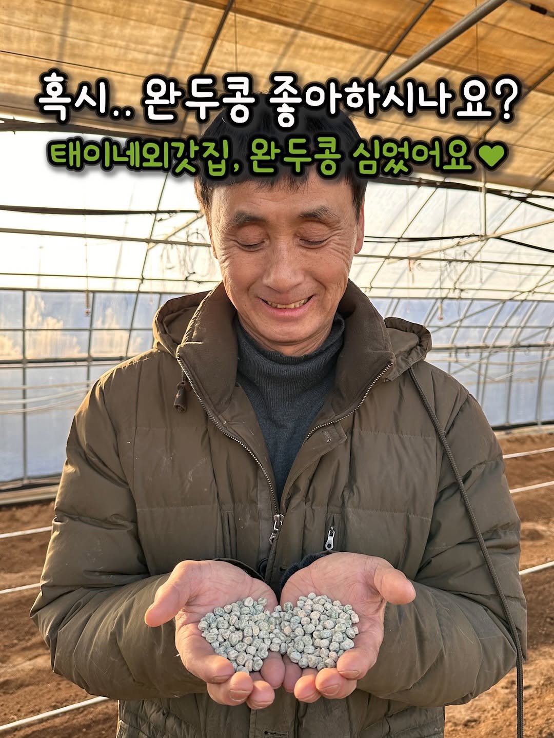 Photo by 태이네외갓집의 유기농꿀고구마•유기농채소 on February 08, 2026. May be an image of vegetable, plant and text that says '혹시.. 완두콩 좋아하시나요? 태이네외갓집, 태이 완두콩 심었어요'.