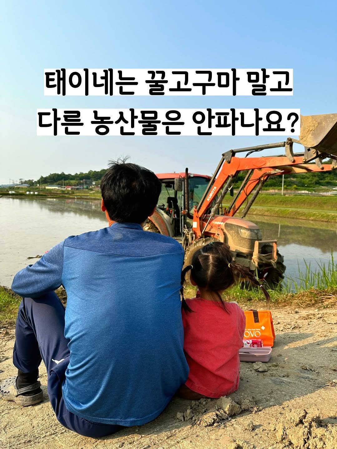Photo by 태이네외갓집의 유기농꿀고구마•유기농채소 on June 10, 2025.