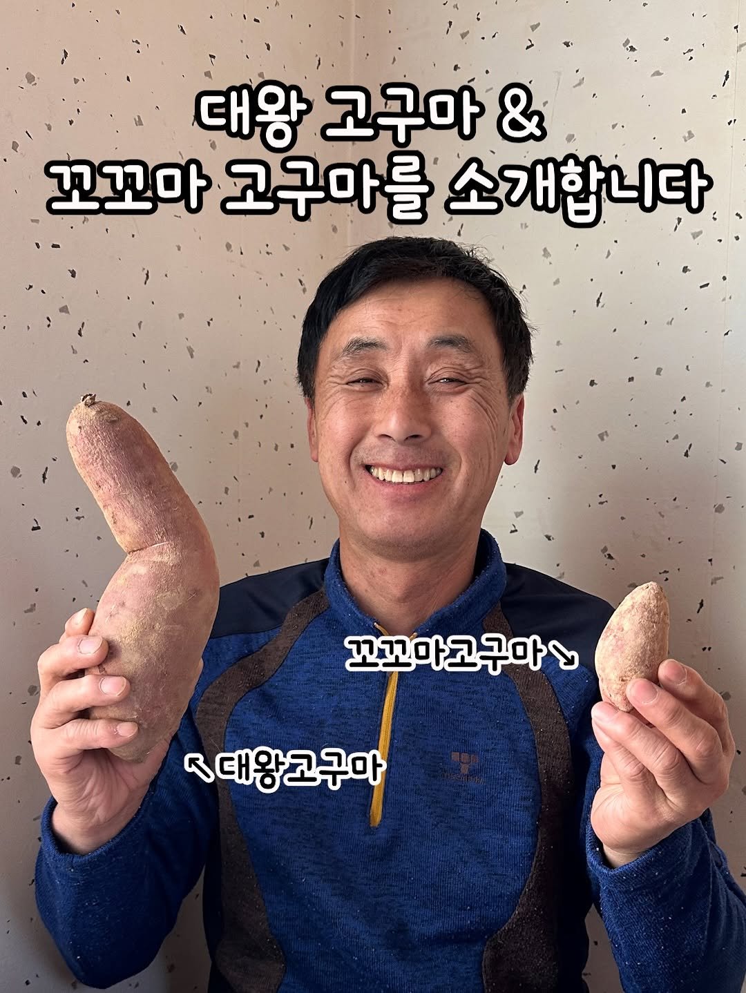 Photo by 태이네외갓집의 유기농꿀고구마•유기농채소 on January 30, 2026. May be an image of baguette, breadstick, sausage and text that says '대왕 고구마 & 꼬꼬마 고구마를 소개합니다 4BTa 꼬꼬마고구마입 대왕고구마 대왕'.