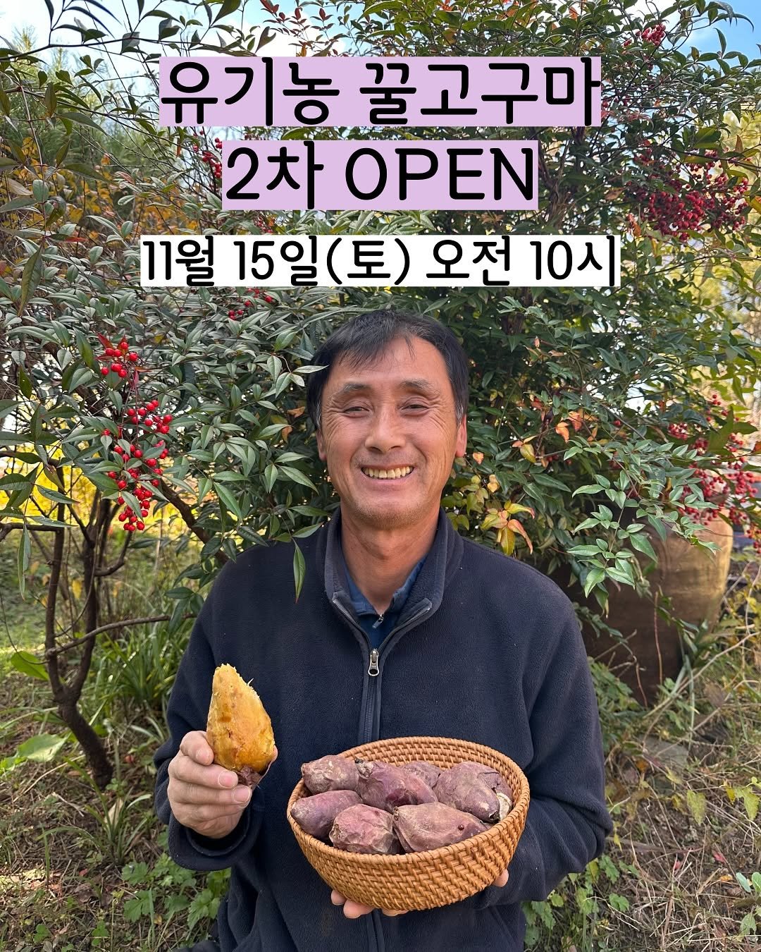 Photo by 태이네외갓집의 유기농꿀고구마•유기농채소 on November 13, 2025. May be an image of ‎shiitake mushrooms and ‎text that says '‎유기농 유기 꿀고구마 yAHA 2차 OPEN ر K 11월15일 11월 15일 11월15일(토)오전10지 (토) 오전 10人 15일(토)‎'‎‎.