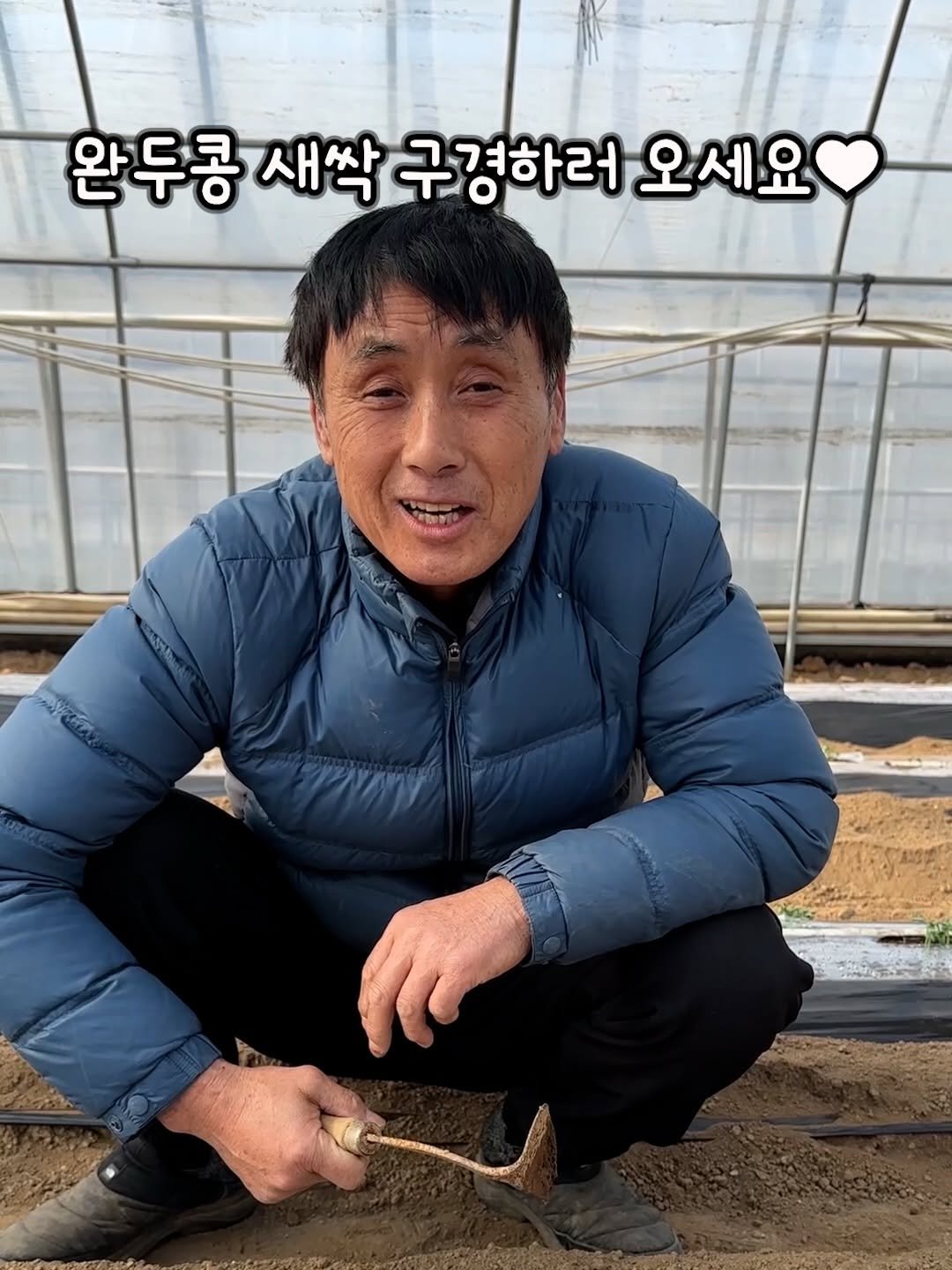 Photo by 태이네외갓집의 유기농꿀고구마•유기농채소 on February 22, 2026. May be an image of text that says '완두콩 새싹 완두콩새싹 구경하러오 박구경하러오세요 오세요 Piny'.