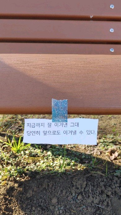 taerori 게시물 이미지: 응원해요.
#태로리 #함께라서그대라서소중해