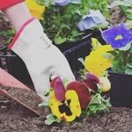 gardening.tipss 프로필 사진